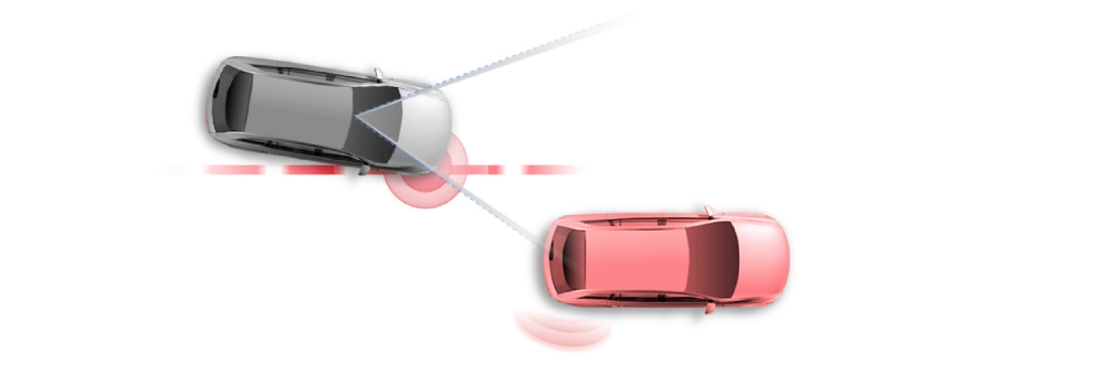 Lane Departure Warning System (LDWS)