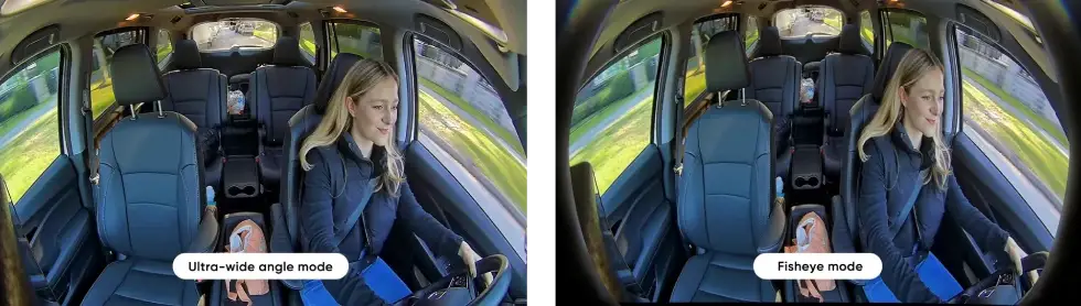Dynamic Interior Viewing Modes